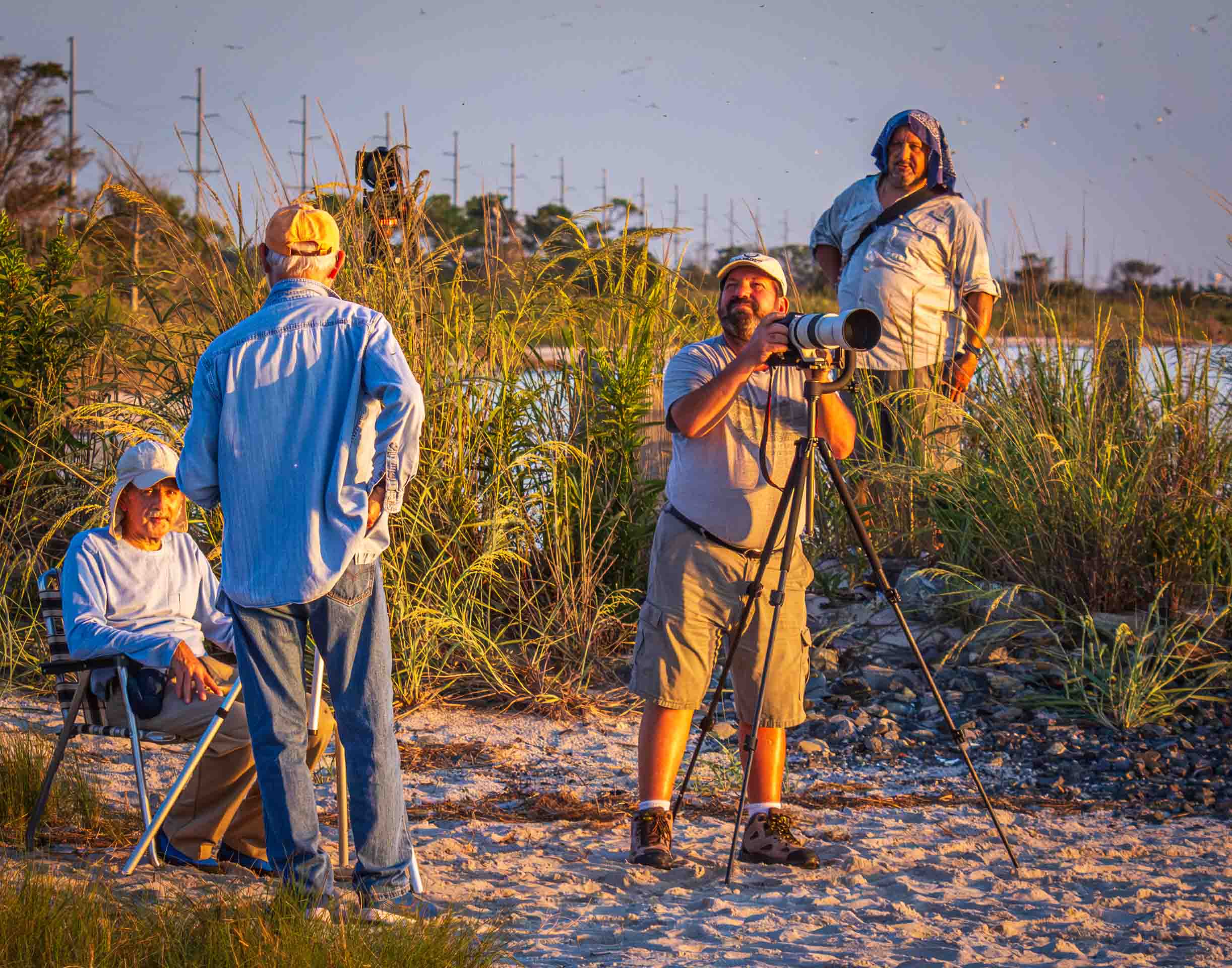 Yrs_2020-2024_CCC_IMG_006837_ - Wildlife SIG outing at New Road to capture Ibises at sunset.  August 2022.jpg